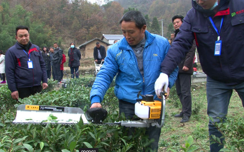西沟村：现代化机械生产培训 为茶业发展保驾护航