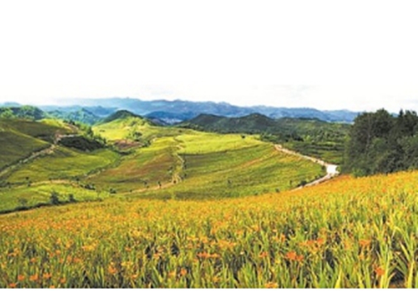 军店镇“六项保障”助力特色产业发展