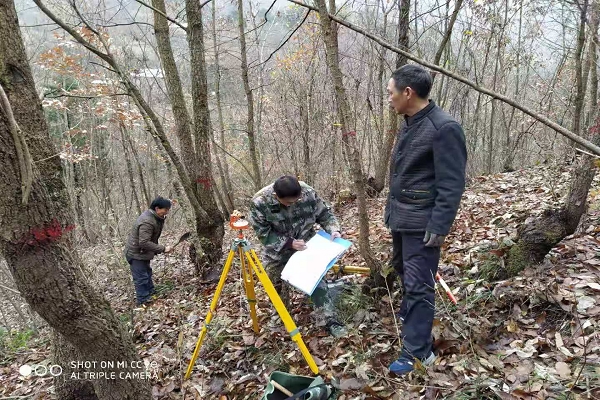 县林业局“三举措” 开展森林湿地资源动态监测