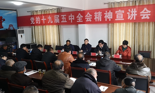 张歌莺到化龙堰高桥村宣讲党的十九届五中全会精神