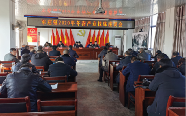 比村貌，秀美景，展实力--军店镇开展2020年度第四季度人居环境整治和产业发展拉练活动