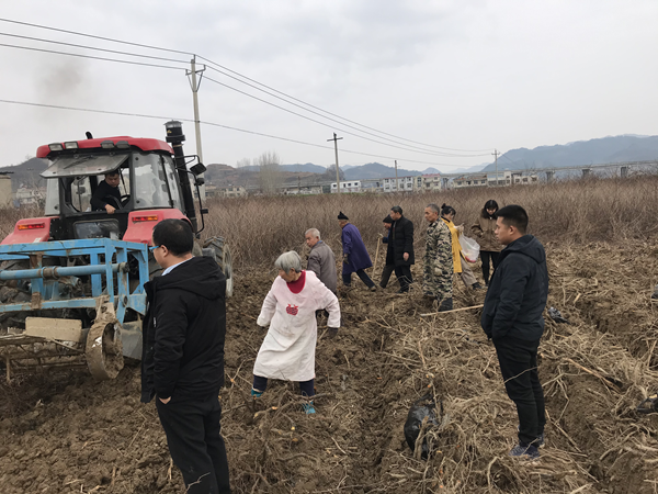 市农科院纪委书记封海东、中药材所所长周明前往房县调研虎杖采挖情况