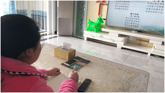 白鹤镇石堰河小学多项举措确保“停课不停学”