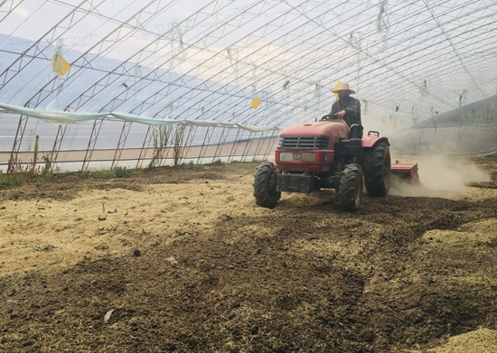 化龙堰镇：防疫春耕两不误  确保群众“菜篮子”