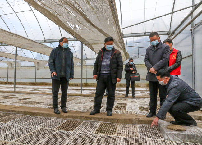 202002291901360151.jpg 202002291901360151.jpg