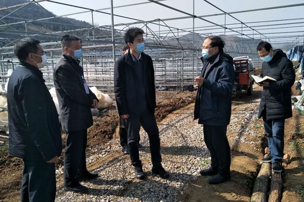 王济民来房县调研农业复耕复产工作