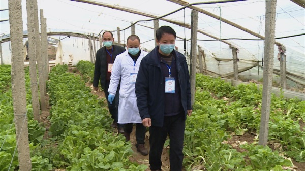 房县：疫情防控期间 坚决保障农产品安全