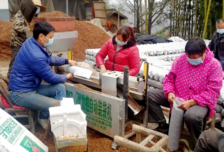 疫情防控严抓不懈 春耕生产决不放松