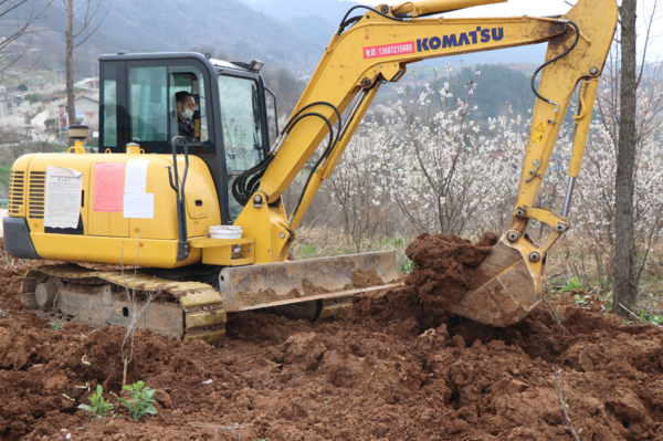 房县城关镇千余户农民戴口罩闹春耕