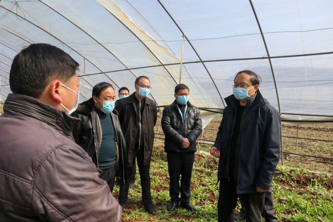 蔡贤忠到军店镇检查指导疫情防控和春耕备耕工作