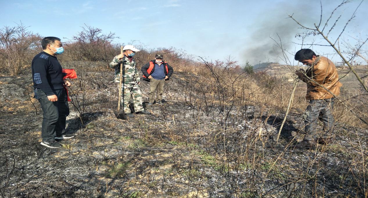 化龙堰镇：老兵显本色  岗位展初心