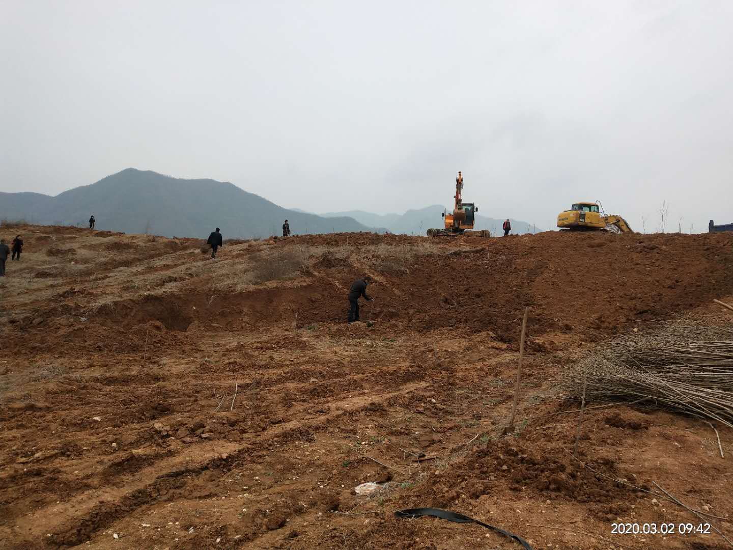 回龙乡：五个一批推动产业发展