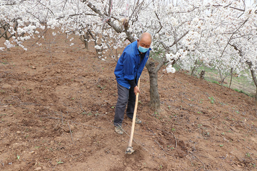 城关镇：疫情要防 春耕要忙