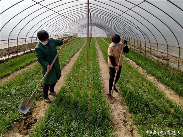 房县出台巩固脱贫成果“十条意见”， 条条都是“真金白银”