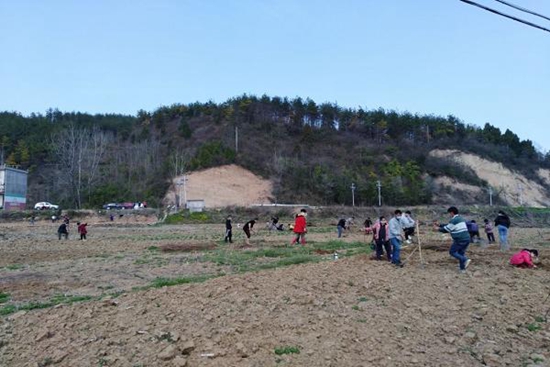 化龙堰镇：春季植树造林如火如荼