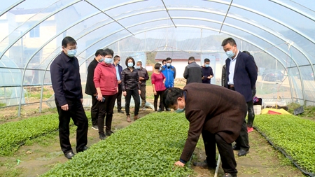 张歌莺来房调研督导时强调：决战决胜脱贫攻坚  加快推进乡村振兴