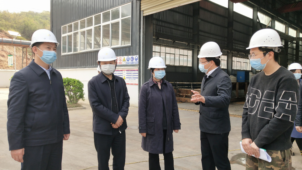 胡志莉来我县督导检查疫情防控复工复产等工作