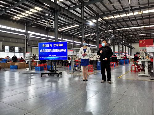 我县成功举办首届“春风送岗　职等你来”网络直播招聘会