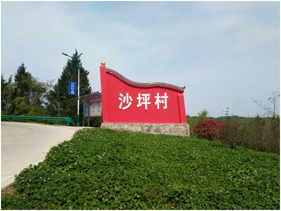 红塔镇沙坪村：修道路植新翠，乡村处处添美景