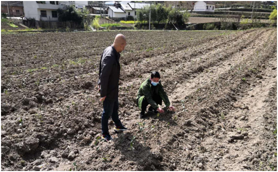 县公共检验检测中心:帮扶送健康，体检到家门