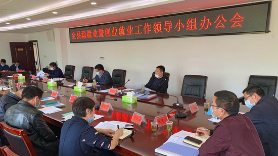 全县召开稳就业创业工作领导小组办公会