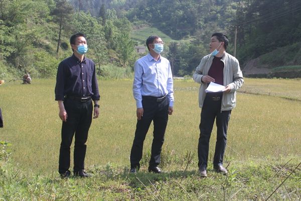 冉瑶函调研民政工作