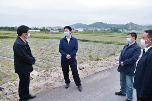 纪道清在军店镇调研时强调：加快古镇建设  打造产业强镇