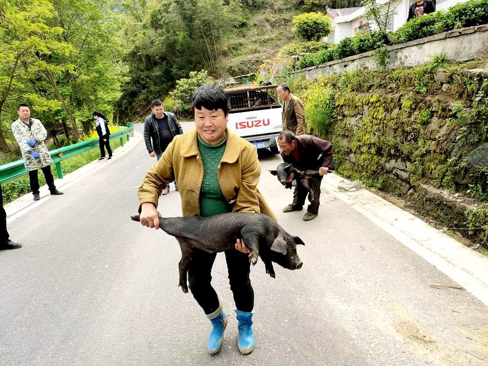 县水利和湖泊局扎实开展“三满”行动