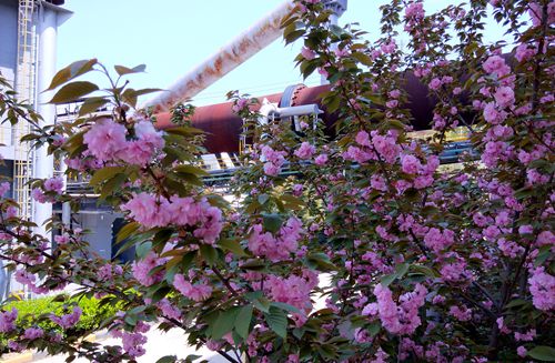 华新水泥：建设美丽工厂 共筑美丽家园