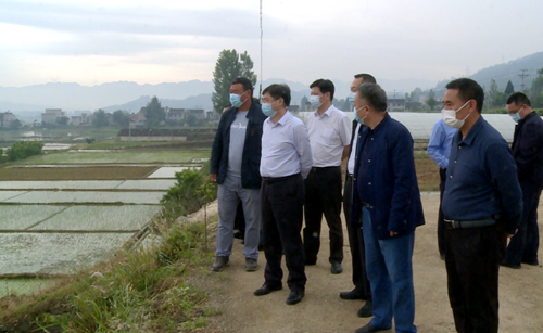 省农业农村厅副厅长陈志勇来房调研高标准农田建设