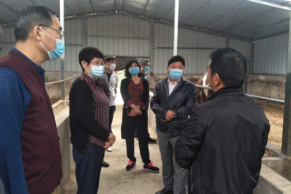 朱云慧来房县开展脱贫重点攻坚工作