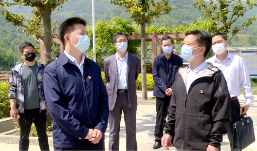 纪道清到城关镇调研指导软弱涣散村党组织整顿工作