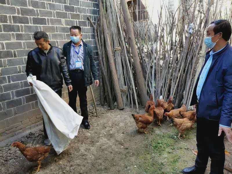 红塔镇：以户户走到为抓手，深入群众“三落实”