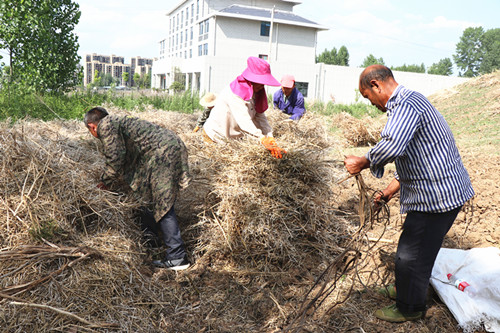 城关镇扎实做好秸秆禁烧工作