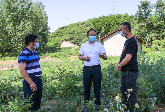 202006051713268293.jpg 202006051713268293.jpg