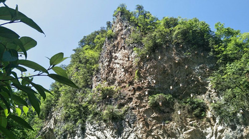 上龛崖蜜：蜂箱“升天”  打造中蜂产业“2.0版本”