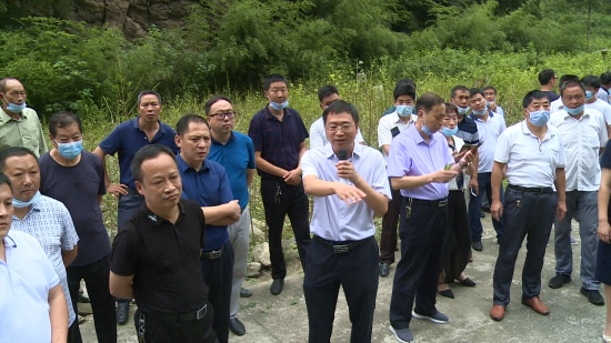 我县开展中药材银杏种植、管理、采收现场会