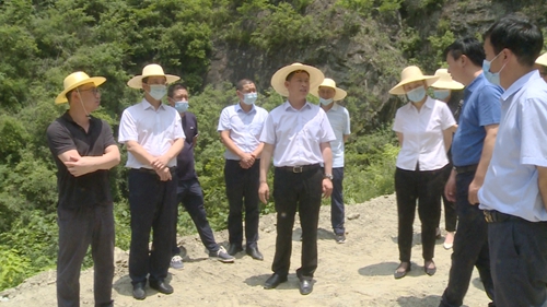 纪道清到姚坪大木厂调研重点项目建设