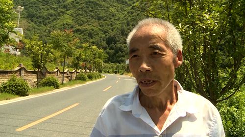 姚坪乡： 银杏产业托起农民增收梦