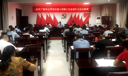 大木厂镇传达贯彻县委十四届八次全体（扩大） 会议精神
