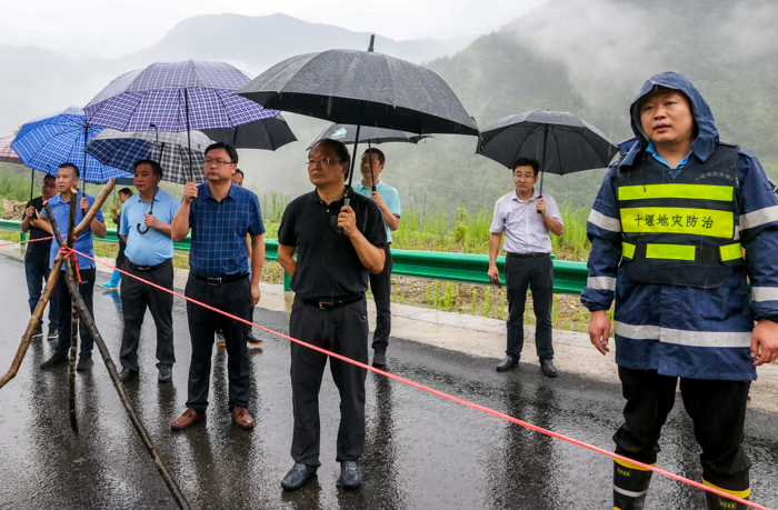蔡贤忠检查青峰镇何家坡滑坡体应急处置工作