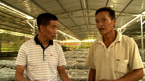 《党旗飘飘》袁孝海：村里群众的“自家人”