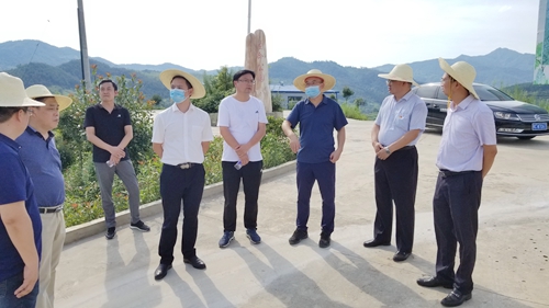 省民政厅工作组来我县调研殡葬改革工作