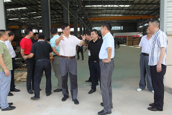 省林业局调研组来房县调研疫木安全利用工作