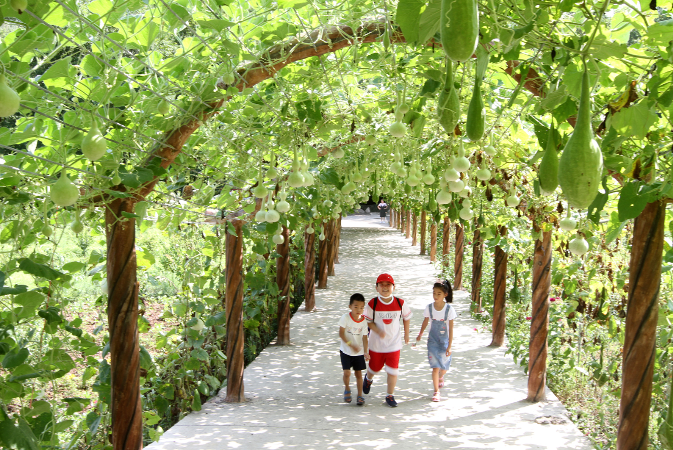 房县乡村旅游促进农民增收
