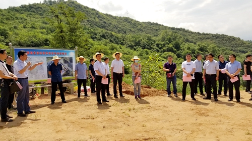 看现场，抓进度！纪道清调研督办重点项目建设