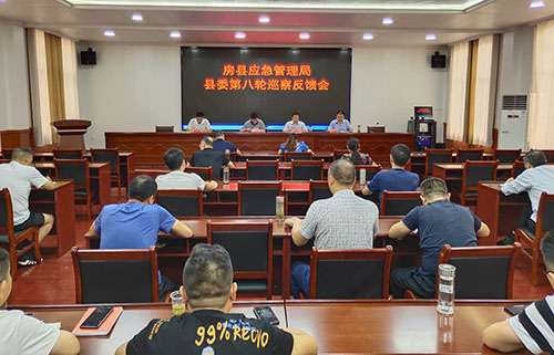 县委第二巡察组向县应急管理局反馈巡察情况