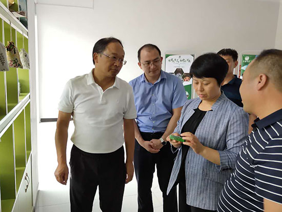 胡志莉在房调研时强调：强化保障力 提升发展力