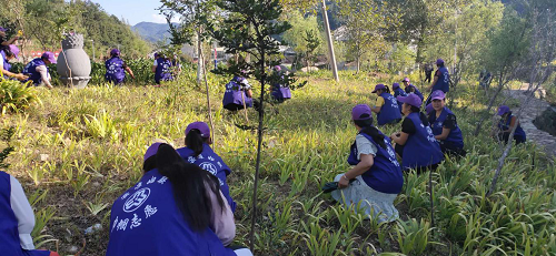 窑淮镇:以人居环境大改善 突显乡村治理新成效