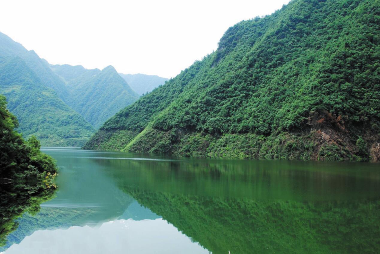 五台乡党建引领绿色发展增“颜值”